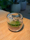 Moss Arrangement in Tea Glass Terrarium