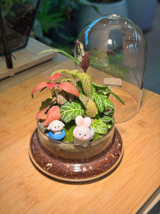 Fittonia and Moss Arrangement Bell Glass Indoor Plant Terrarium (S)