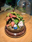 Fittonia and Moss Arrangement Bell Glass Indoor Plant Terrarium (S)
