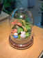 Fittonia and Moss Arrangement Bell Glass Indoor Plant Terrarium (S)