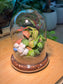 Fittonia and Moss Arrangement Bell Glass Indoor Plant Terrarium (S)