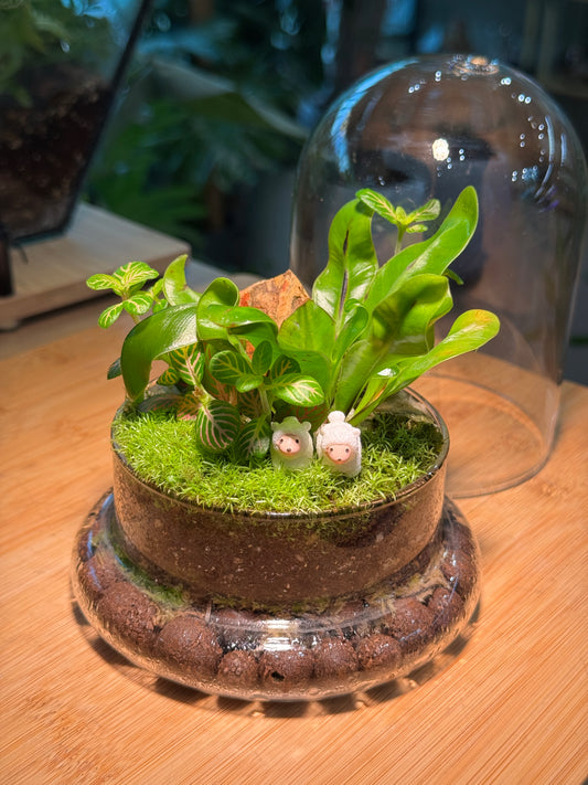 Bird Nest's Fern, Fittonia and Moss Arrangement Bell Glass Indoor Plant Terrarium (S)