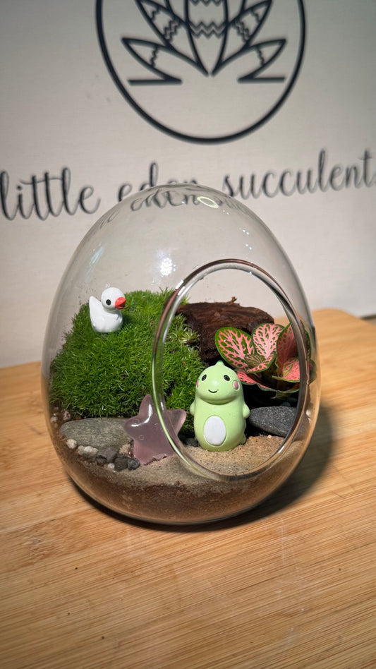 Fittonia & Moss Arrangement in Eggette Glass Terrarium (S)