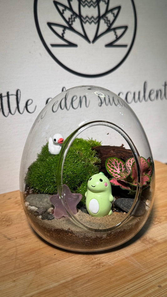 Fittonia & Moss Arrangement in Eggette Glass Terrarium (S)