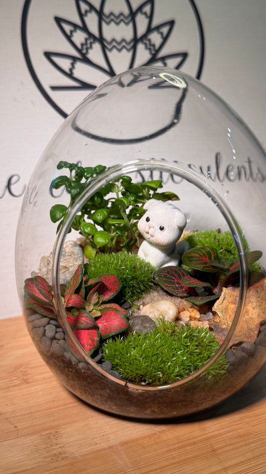 Fittonia & Moss Arrangement in Eggette Glass Terrarium (M)