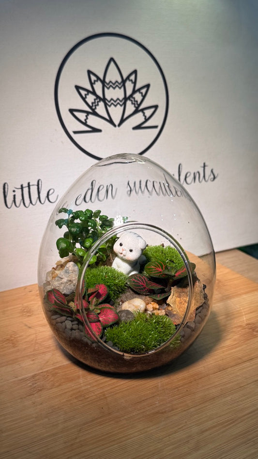 Fittonia & Moss Arrangement in Eggette Glass Terrarium (M)