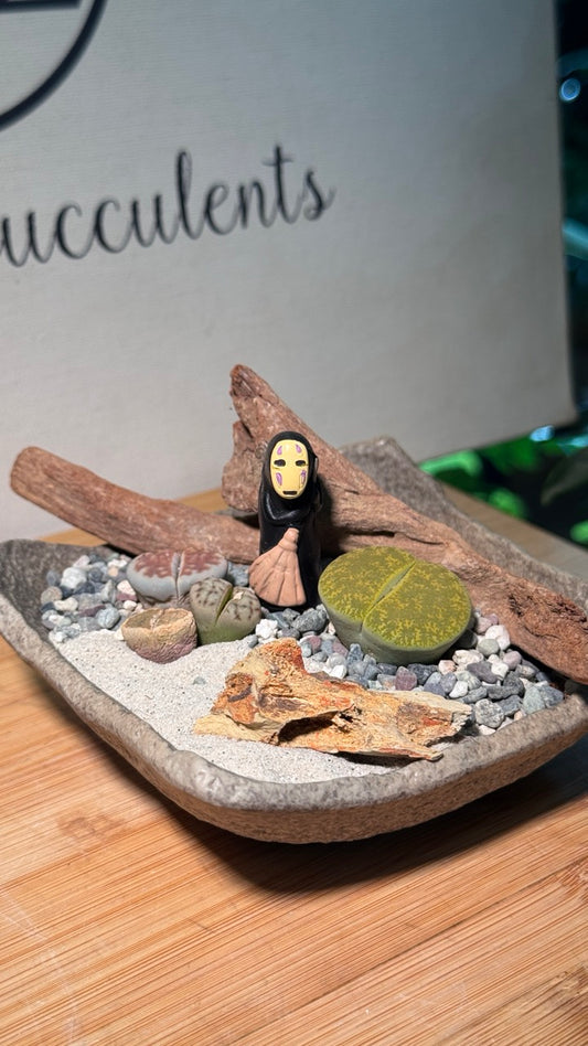 Lithops Arrangement in Zen Grey Pot