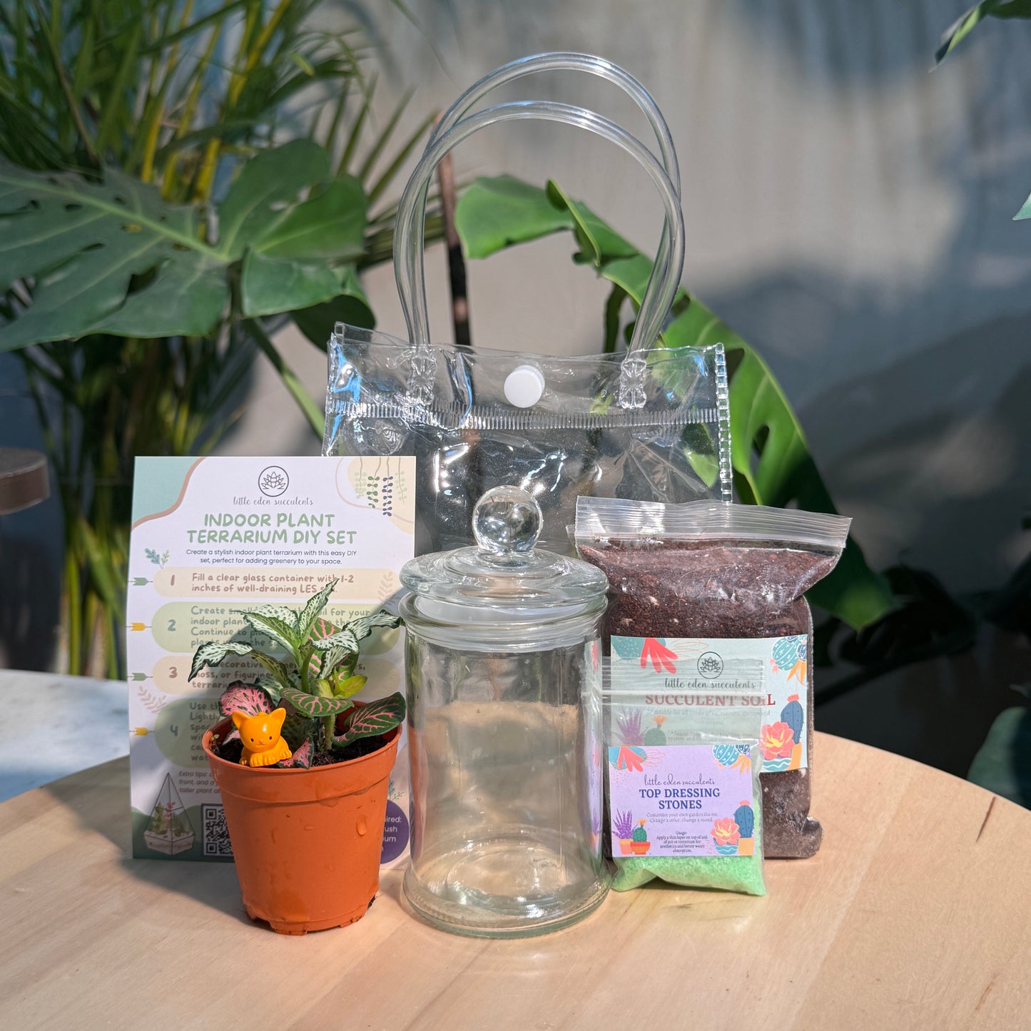 Glass Jar Indoor Plants DIY Set