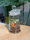 Glass Jar Indoor Plants DIY Set