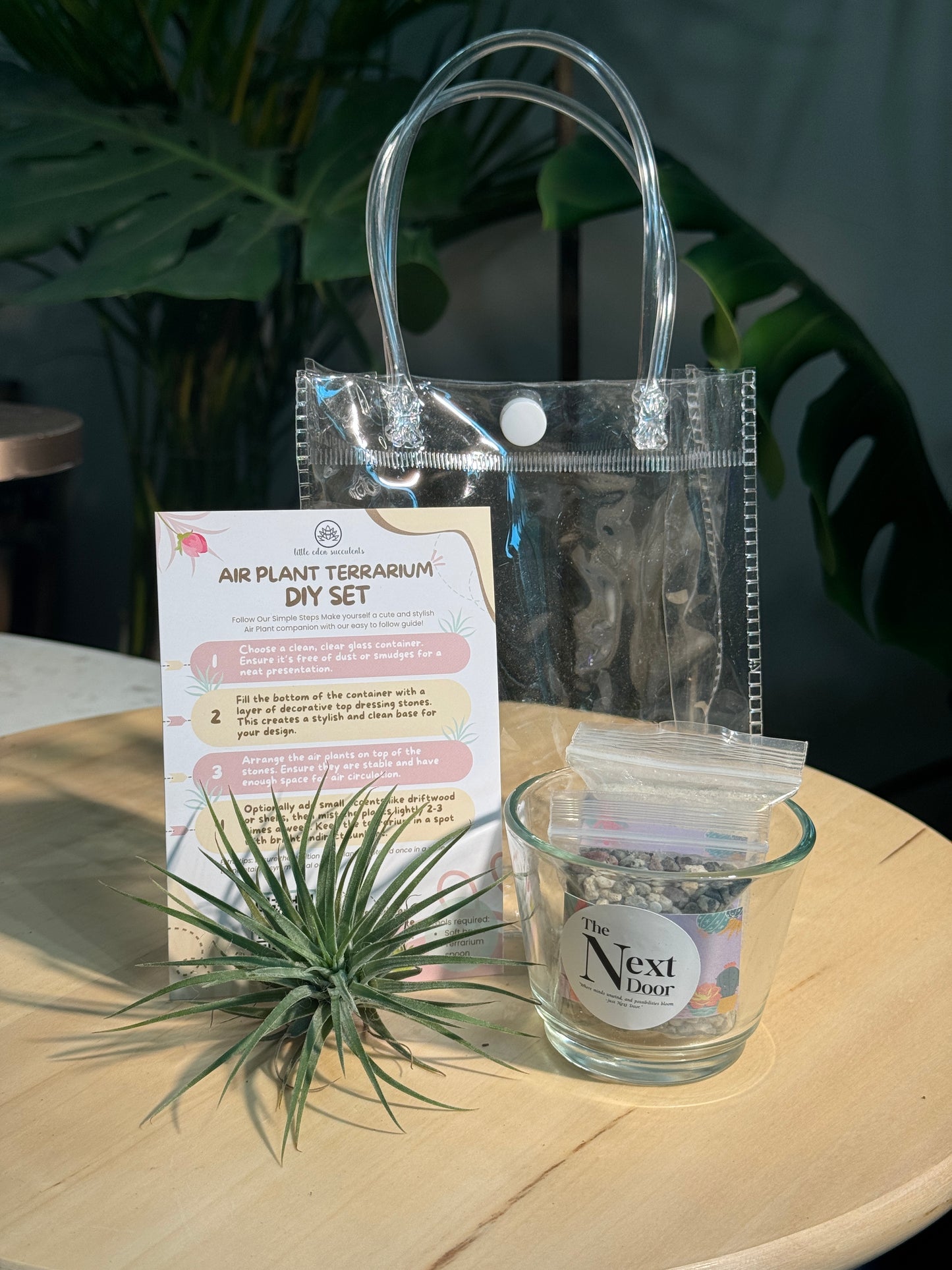 Airplant DIY Set