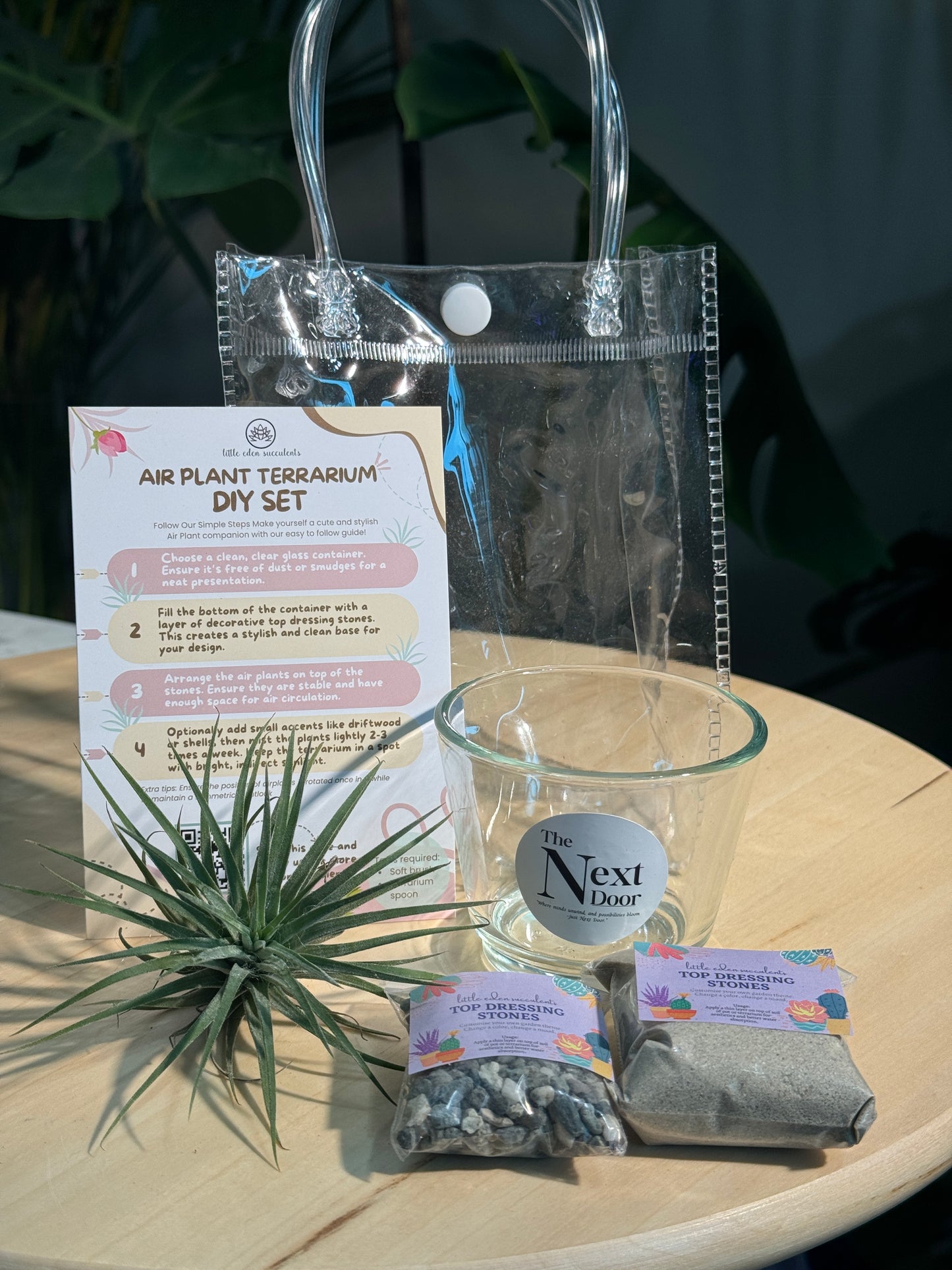 Airplant DIY Set