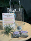Airplant DIY Set