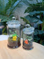 (Pre-order) Indoor Plant Arrangement in Terrarium Jar (S, M)