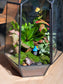 (Pre-order) Indoor Plant Arrangement in Black Frame Polygonal Terrarium Glass (M, L)