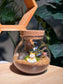 (Pre-order) Indoor Plant in Round Covered Glass Terrarium (S, L)