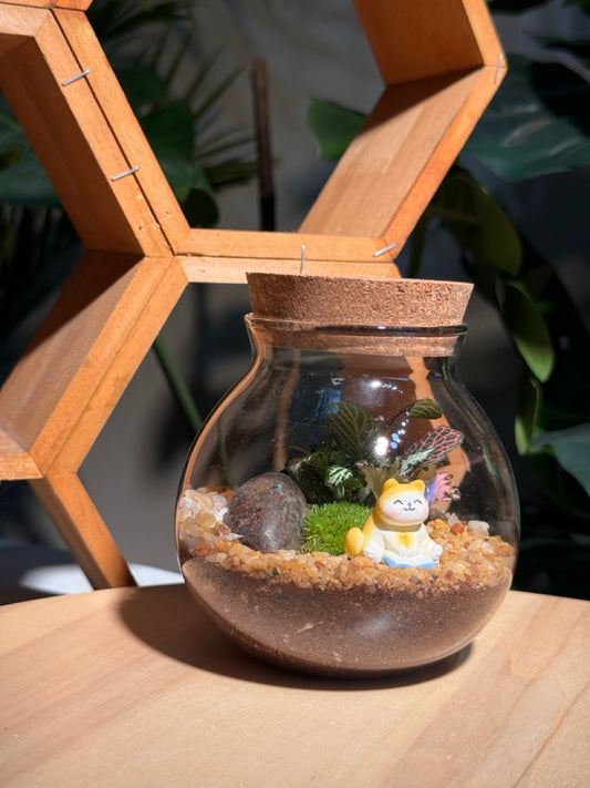 (Pre-order) Indoor Plant in Round Covered Glass Terrarium (S, L)