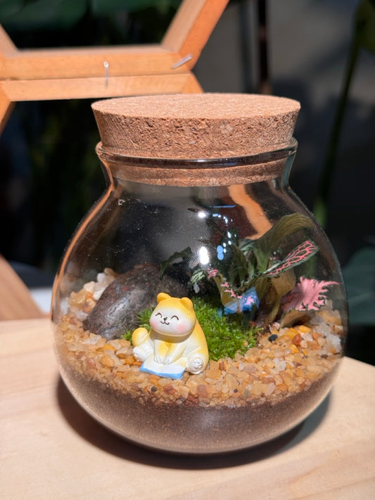 Round Covered Glass Indoor Plant Terrarium (L) DIY Set