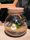 Fittonia and Fern with Moss Arrangement in Round Covered Glass Terrarium