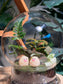 Dome Glass Indoor Plant Terrarium DIY Kit
