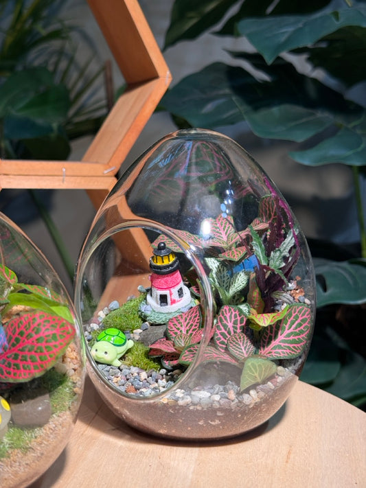 (Pre-order) Indoor Plant in Eggette Glass Terrarium (S, M, L)