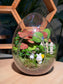 (Pre-order) Indoor Plant in Eggette Glass Terrarium (S, M, L)