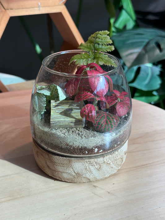 (Pre-order) Indoor Plant in Muji Glass Wooden Base