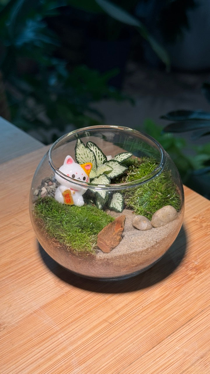 (Pre-order) Fittonia with Moss Arrangement in Crystal Glass (S)