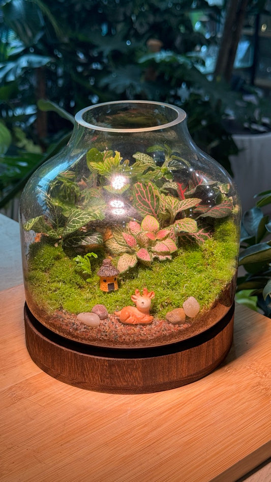 Fittonia and Fern with Moss Arrangement in Wine Bottle Aquarium (M)