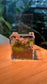 (Pre-order) Indoor Plant Arrangement in Arcylic Terrarium (S)