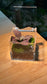 (Pre-order) Indoor Plant Arrangement in Arcylic Terrarium (S)