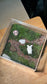 (Pre-order) Indoor Plant Arrangement in Arcylic Terrarium (L2)