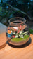Indoor Plants in Round Covered Glass (S)