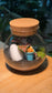Indoor Plants in Round Covered Glass (S)