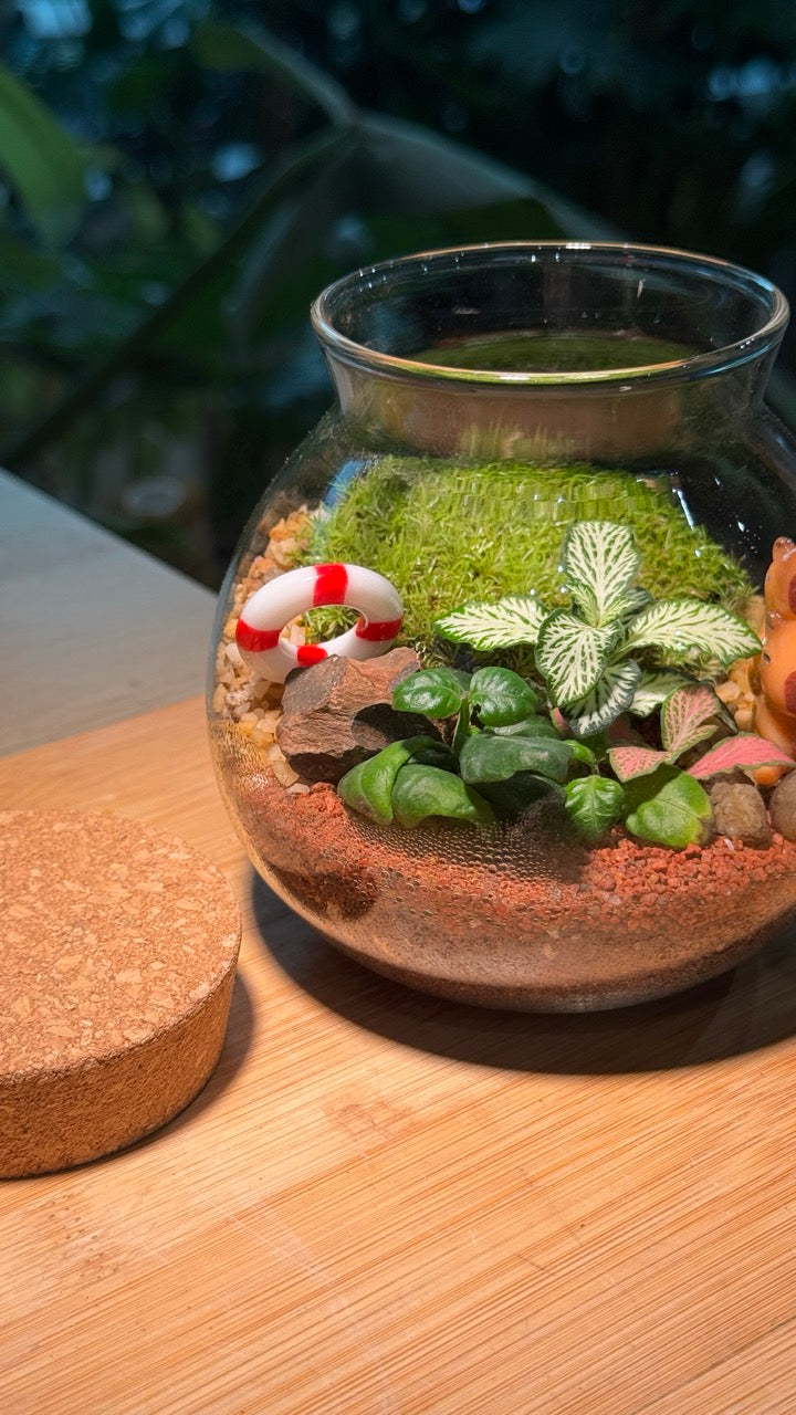 Capybara - Indoor Plants in Round Covered Glass (S)