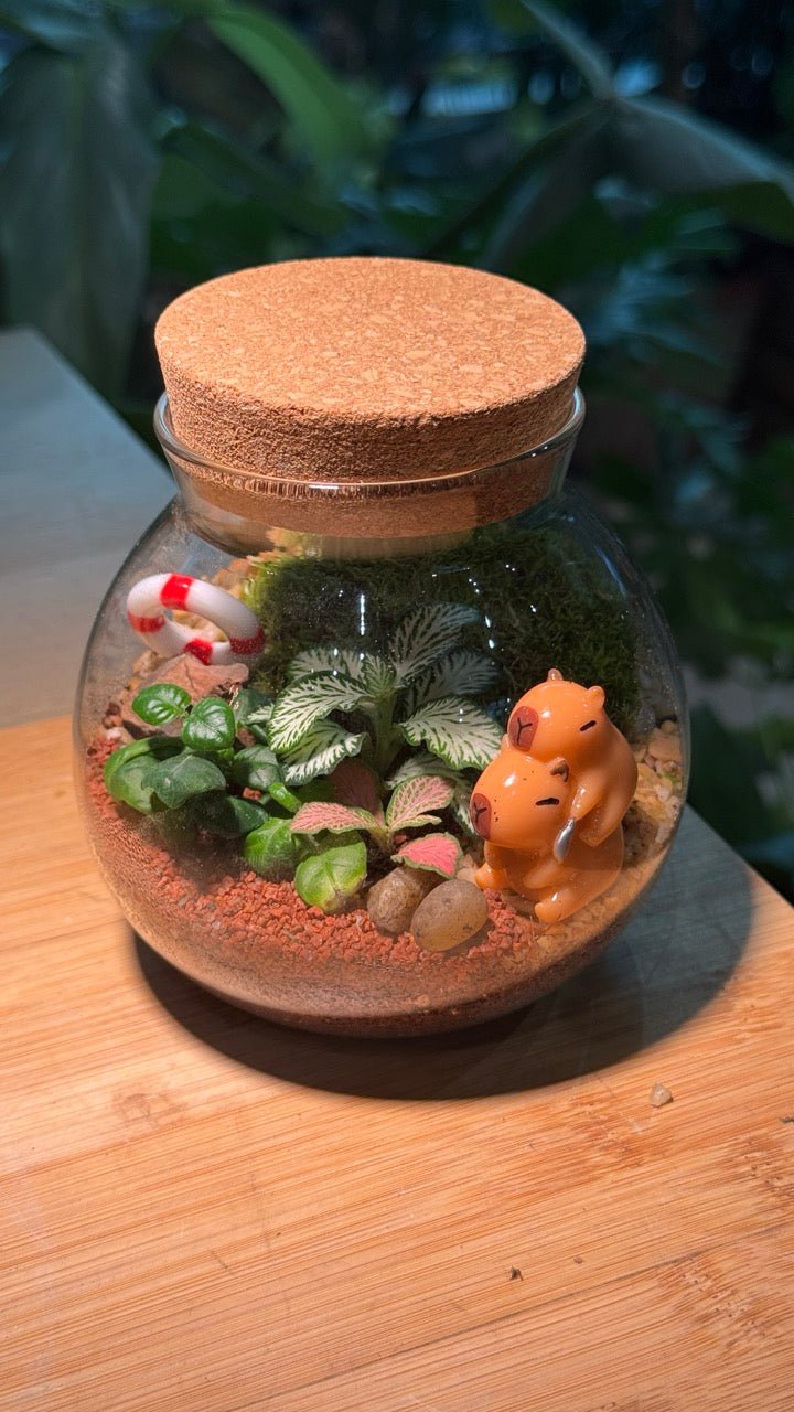 Capybara - Indoor Plants in Round Covered Glass (S)