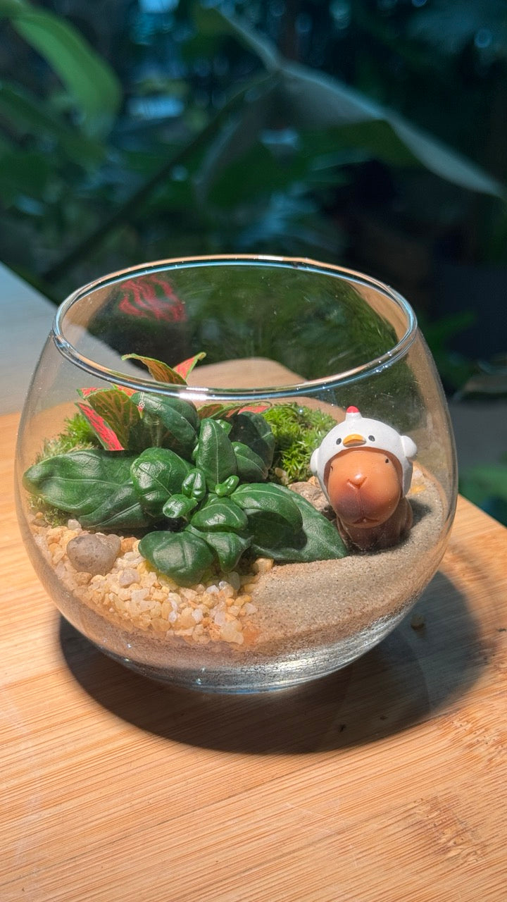 (Pre-order) Fittonia with Moss Arrangement in Crystal Glass (M)