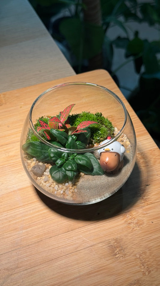 Capybara - Fittonia with Moss Arrangement in Crystal Glass (M)