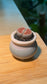 Lithops in Round Blueish Pink Ceramic Pot