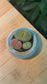 Lithops in Blueish Grey Pot