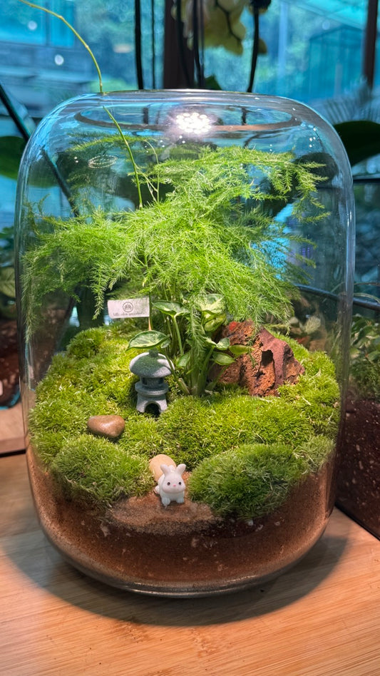 Asparagus Fern with Moss Arrangement in Tall Fishbowl Glass Without Lid