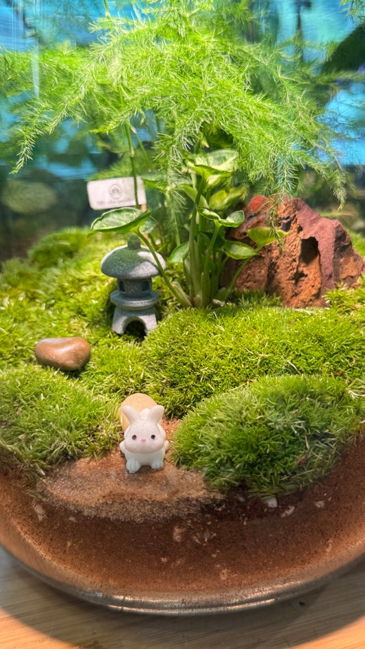 Asparagus Fern with Moss Arrangement in Tall Fishbowl Glass Without Lid