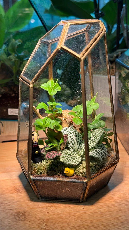 Fittonia and Fern with Moss Arrangement in Gold Polygonal Tall Glass