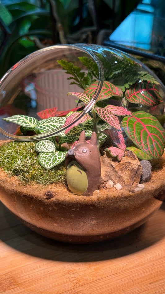 Totoro: Indoor Plants in Round Glass Terrarium (L)