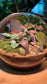 Totoro: Indoor Plants in Round Glass Terrarium (L)