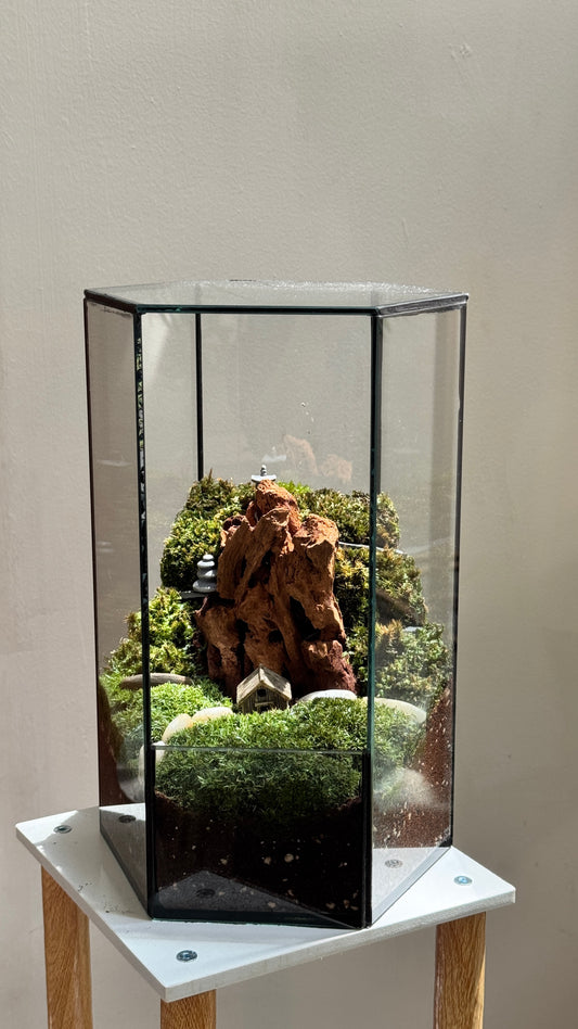 Moss Arrangement Like Mountain Design in Hexagonal Tall Terrarium