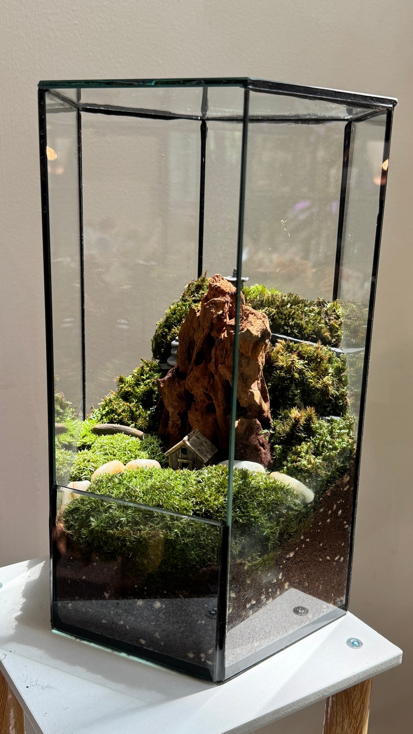 Miniature Mountain Landscape Terrarium in Hexagonal Glass