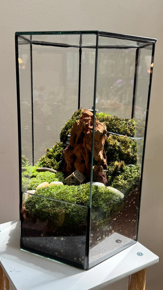 Moss Arrangement Like Mountain Design in Hexagonal Tall Terrarium