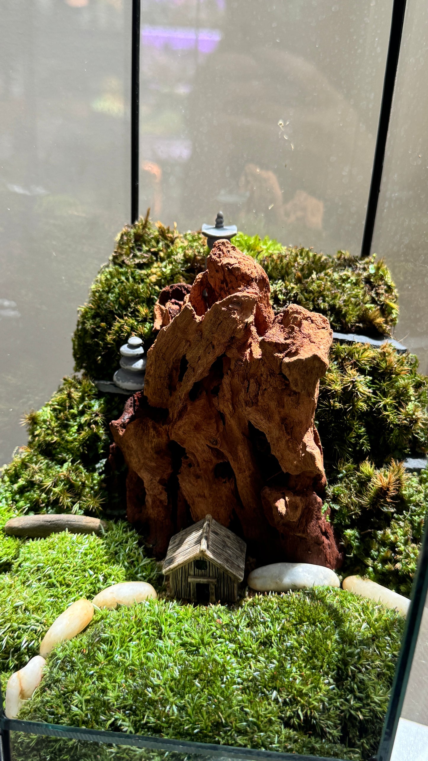 Miniature Mountain Landscape Terrarium in Hexagonal Glass