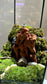 Miniature Mountain Landscape Terrarium in Hexagonal Glass