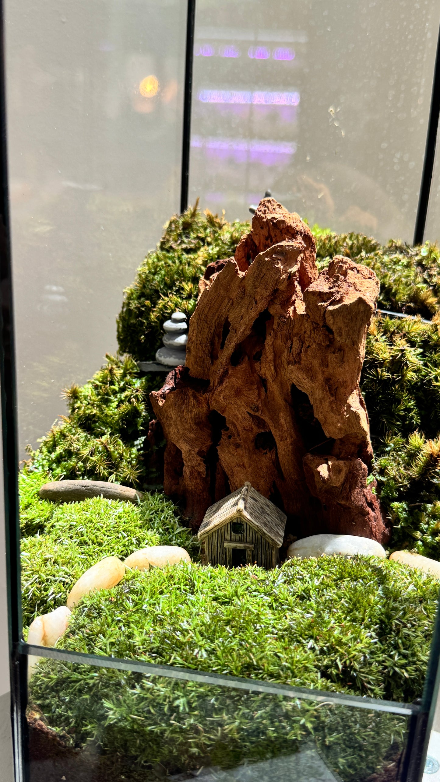 Miniature Mountain Landscape Terrarium in Hexagonal Glass